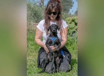 Emilia – ein liebenswerter Teenager