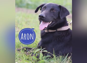 Aron hofft auf ein Zuhause