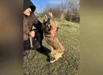 Süße Malou sucht eine liebevolle Familie
