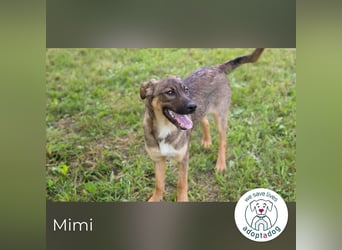 Mimi: Mit einem Lächeln ins Glück