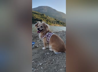 Luna, hofft auf ihre 2. Chance