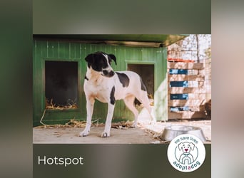 Hotspot: Ein Herz voller Hoffnung