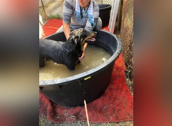 MAILA, sucht Menschen mit Herz (mit Videos!)