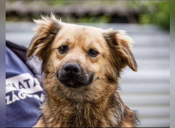 Milo, geboren 15.08.2024 sicht sein Körbchen