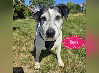 Dona eine liebe Knutschkugel