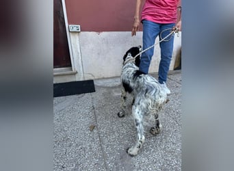 Femke - zarte Seele sucht...