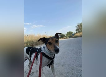 KIKA