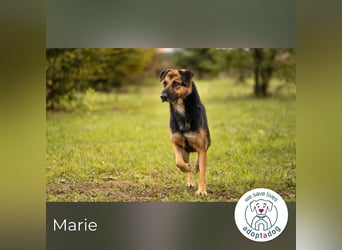Marie: Die sanfte Seele