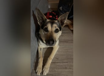 Buffy sucht ihre Menschen fürs Leben