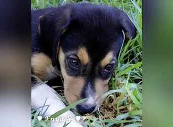 Jackie/Enya sucht ihre Familie ab Oktober