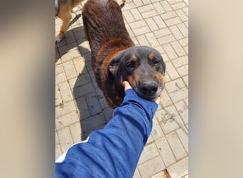 Lucky: wer lässt seine Augen strahlen