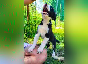 Tina sucht ihre Herzmenschen❤️