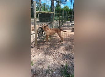 Yara sucht Pflege- oder Endstelle