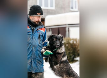 Vorsichtige Tama sucht ihre Familie