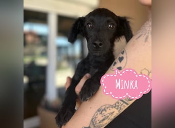 Minka ein Zauberpüppchen