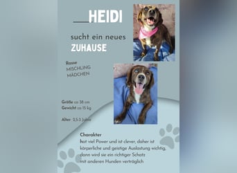 Heidi die junge Wilde