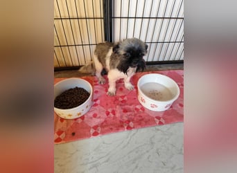Fynn - Wer spendet dem kleinen Mann Liebe und Geborgenheit, trotz Handicap