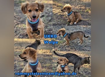 Ukko möchte noch viel lernen und erleben