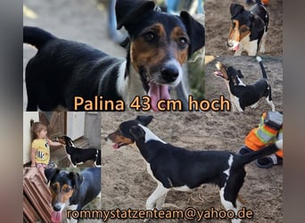In Palina steckt Lebensfreude und Power