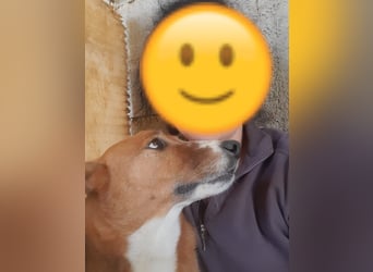❤️ZAYA❤️