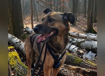 Tilda sucht ihr Für-Immer-Zuhause
