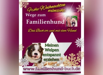 Vor und mit dem Welpen, Junghund, erwachsenen Hund: Das Buch Wege zum Familienhund