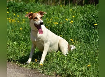 Bella Y153 ist voller Lebensfreude