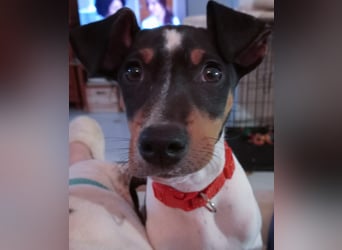 Lenny wünscht sich eine 2. Chance