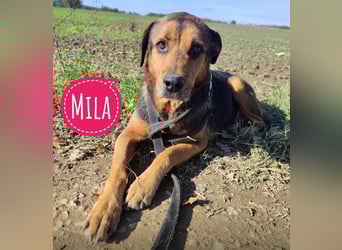 Mila die Allerliebste