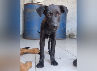 LILIA❤️ tapsiges, sehr kluges Kuschelkind voller Freude und Liebe