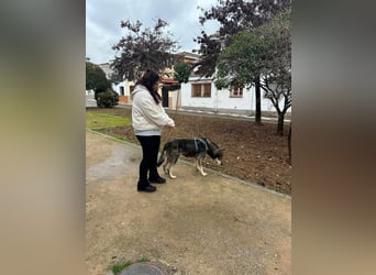 LOBITO