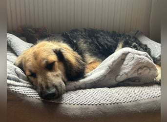 Julio ❤️ wartet in 22559 Hamburg