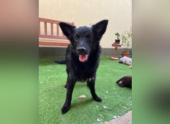 Fiona SR– Kleine Entdeckerin sucht liebevolles Zuhause