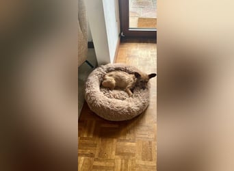 Aton sucht seine passenden Menschen