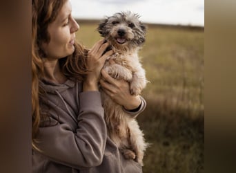 Mauricio ein tapferer Schatz