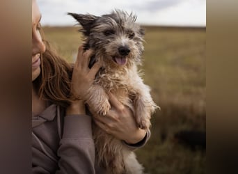 Mauricio ein tapferer Schatz