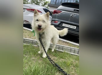 LEE sucht dringend ein Zuhause