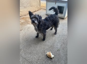 Lali wartet auf seinen Herzensplatz