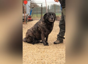 Xénia VA - verträglich