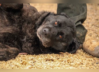 Xénia VA - verträglich