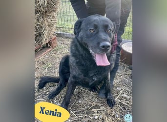 Xénia VA - verträglich