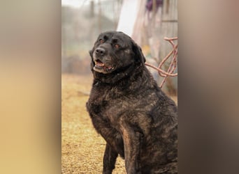 Xénia VA - verträglich