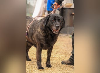 Xénia VA - verträglich