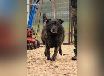 Xénia VA - verträglich