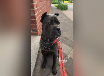 Tyson sucht seine Menschen