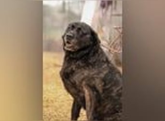 Xénia VA - verträglich