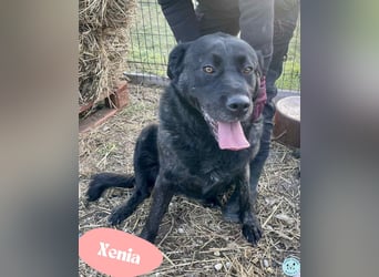 Xénia VA - verträglich