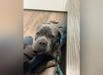 Bounty sucht dringend eine Pflege- oder Endstelle