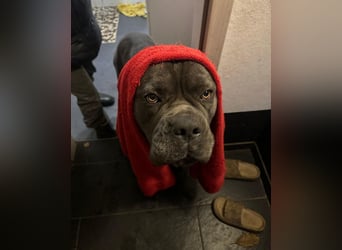 Bounty sucht dringend eine Pflege- oder Endstelle