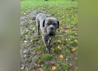 Bounty sucht dringend eine Pflege- oder Endstelle